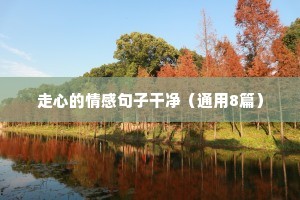 鼻塌嘴歪的释义