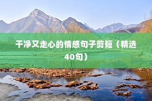 伤心的情感语录大全（精选40句）