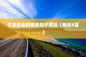 干净自由的情感句子简短（精选8篇）
