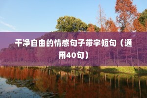 比肩叠迹的成语解释
