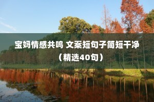 情感文字 语录（通用8篇）