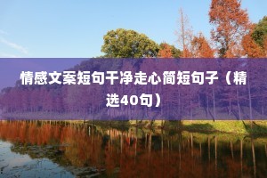 早安情感语录（通用8篇）
