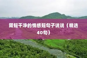 情感语录四个字（通用40句）