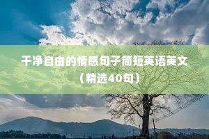 情感语录爱情（精选8篇）