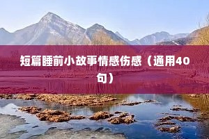 语录 情感（通用8篇）