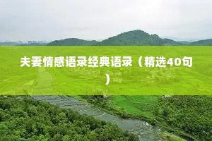 快手情感语录什么软件（通用8篇）