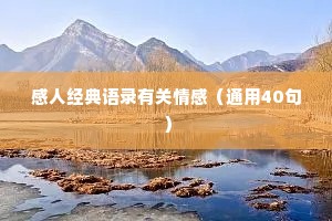 感人经典语录有关情感（通用40句）