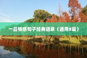一品情感句子经典语录（通用8篇）