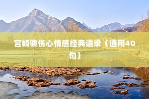 宫崎骏伤心情感经典语录（通用40句）