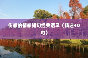 伤感的情感短句经典语录（精选40句）