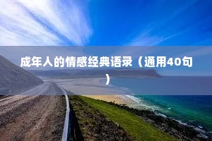 成年人的情感经典语录（通用40句）