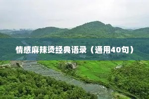 情感麻辣烫经典语录（通用40句）