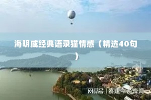 海明威经典语录猫情感（精选40句）