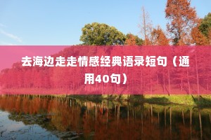 去海边走走情感经典语录短句（通用40句）