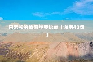 白岩松的情感经典语录（通用40句）
