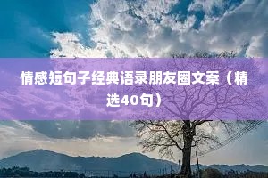 情感短句子经典语录朋友圈文案（精选40句）