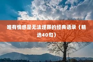 唯有情感是无法埋葬的经典语录（精选40句）