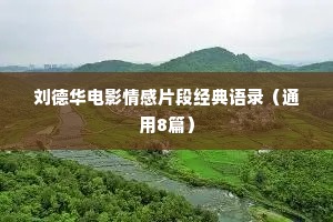 刘德华电影情感片段经典语录（通用8篇）