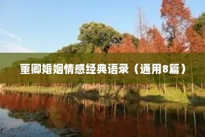 董卿婚姻情感经典语录（通用8篇）