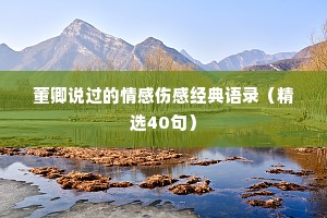 董卿说过的情感伤感经典语录（精选40句）