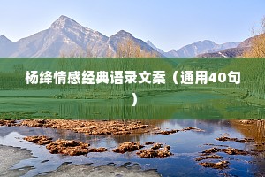 杨绛情感经典语录文案（通用40句）