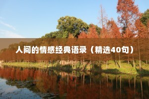 人间的情感经典语录（精选40句）