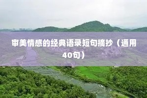 审美情感的经典语录短句摘抄（通用40句）