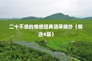二十不惑的情感经典语录摘抄（精选8篇）