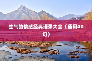 生气的情感经典语录大全（通用40句）