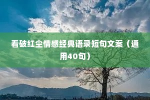 看破红尘情感经典语录短句文案（通用40句）