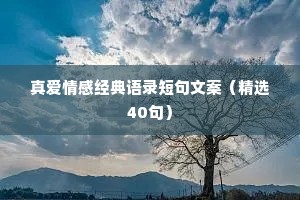 真爱情感经典语录短句文案（精选40句）