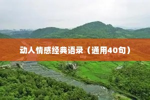动人情感经典语录（通用40句）