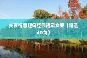 夫妻情感短句经典语录文案（精选40句）