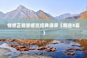 情感正能量感言经典语录（精选8篇）
