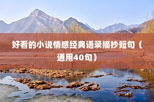 好看的小说情感经典语录摘抄短句（通用40句）