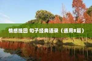 情感挽回 句子经典语录（通用8篇）