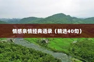 情感亲情经典语录（精选40句）