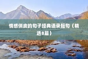 情感俏皮的句子经典语录短句（精选8篇）