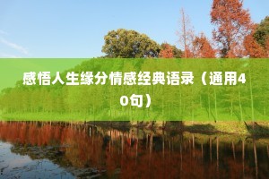 感悟人生缘分情感经典语录（通用40句）