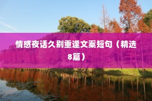 情感夜话久别重逢文案短句（精选8篇）