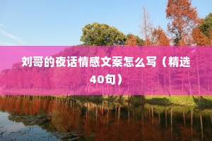 刘哥的夜话情感文案怎么写（精选40句）