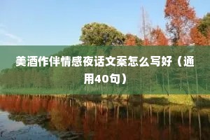 美酒作伴情感夜话文案怎么写好（通用40句）