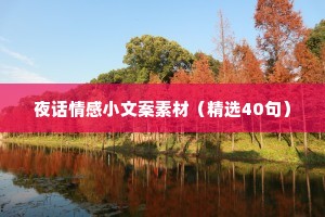 夜话情感小文案素材（精选40句）