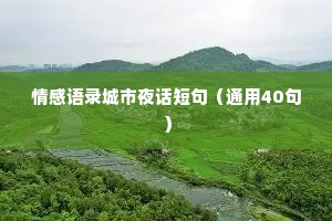 情感语录城市夜话短句（通用40句）