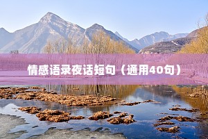 情感语录夜话短句（通用40句）