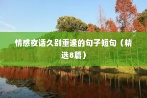 情感夜话久别重逢的句子短句（精选8篇）