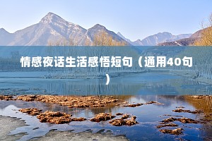 情感夜话生活感悟短句（通用40句）