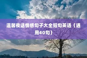 温馨夜话情感句子大全短句英语（通用40句）