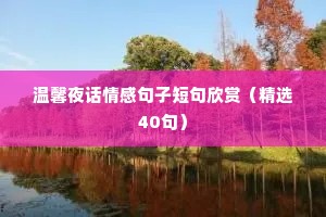 温馨夜话情感句子短句欣赏（精选40句）
