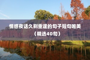 情感夜话久别重逢的句子短句唯美（精选40句）